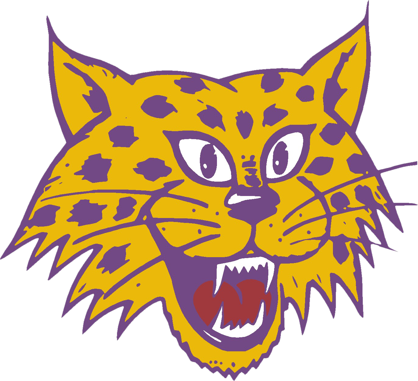 Western Carolina Catamounts 1975-1981 Primary Logo DIY iron on transfer (heat transfer)